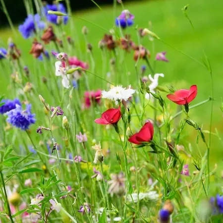 Appartement Haus Gertrud Jerzens