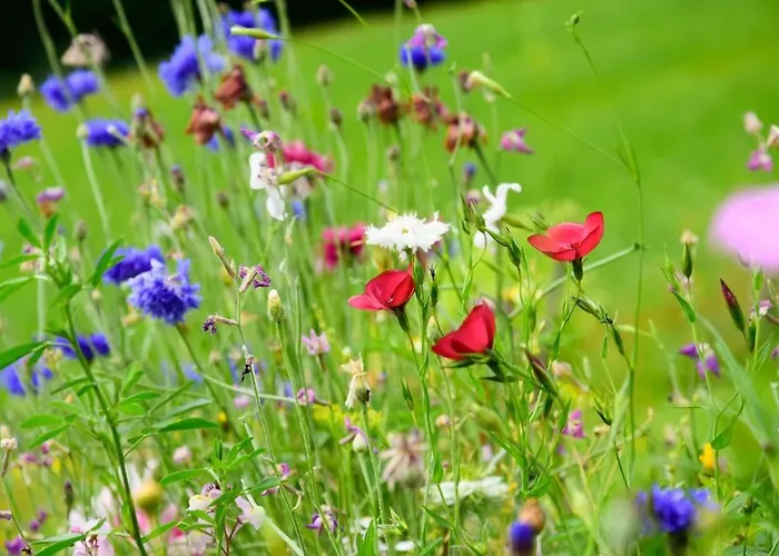 Apartment Haus Gertrud Jerzens